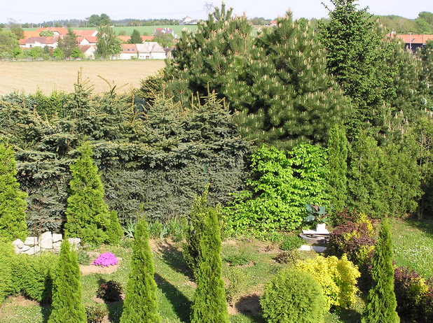 P5030074z27.jpg
