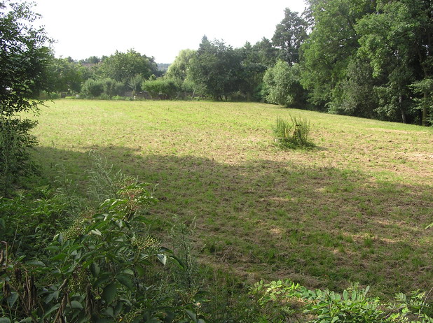 P7160065z27.jpg