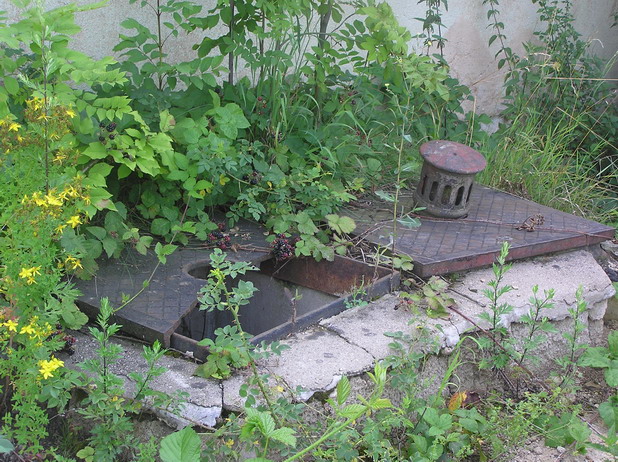 P7160068z27.jpg