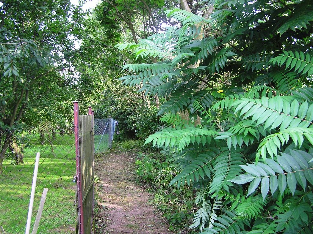 P7300009z46.JPG